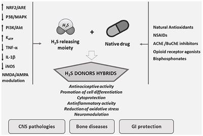 Hydrogen Sulfide: A Worthwhile Tool in the Design of New Multitarget Drugs